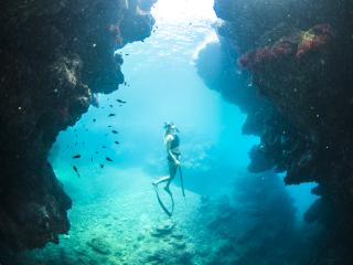 Dive Into Fiji